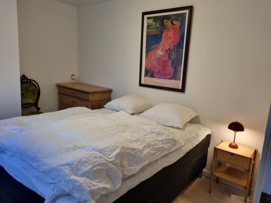 Paen Central Lejlighed Med Gratis Parkering Randers Extérieur photo